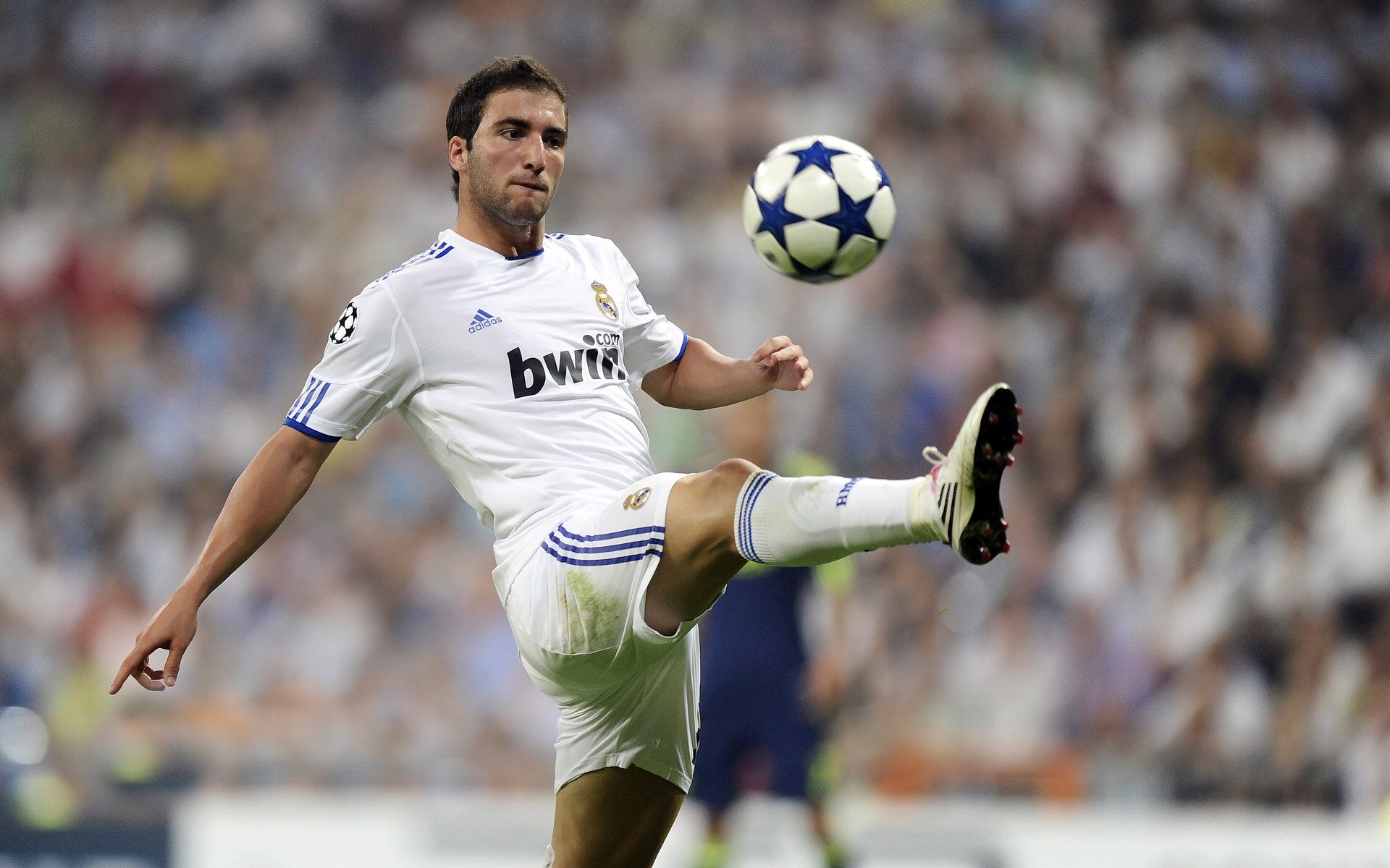 米兰体育官网入口-“南非羚羊队队员萨尔·巴赫：球场外的低调人生”